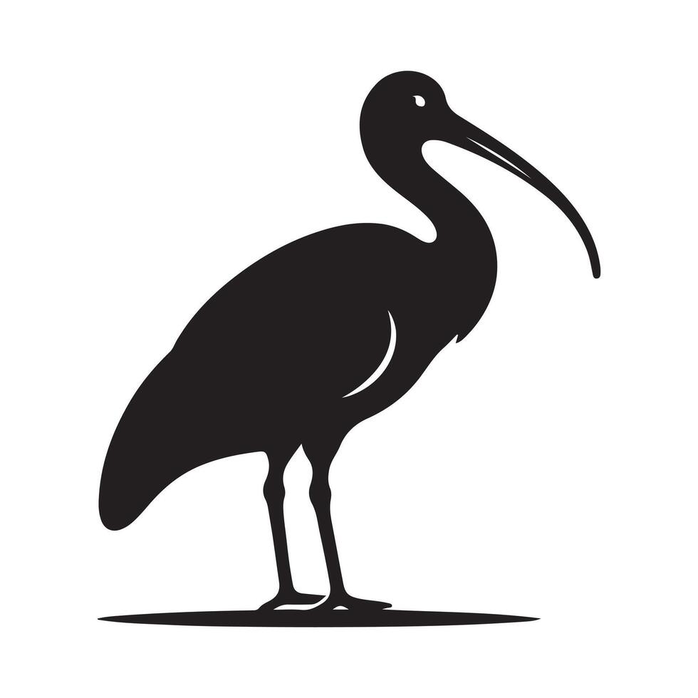 Black-Headed Ibis Silhouette Vectors Perfect for Nature Illustrations