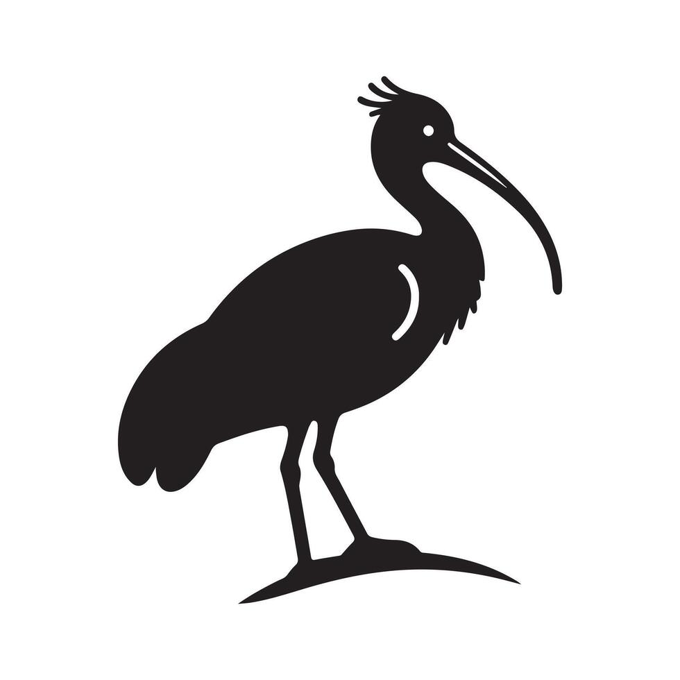 Stylized Black-Headed Ibis Silhouettes for Animal Graphic Design Projects vector