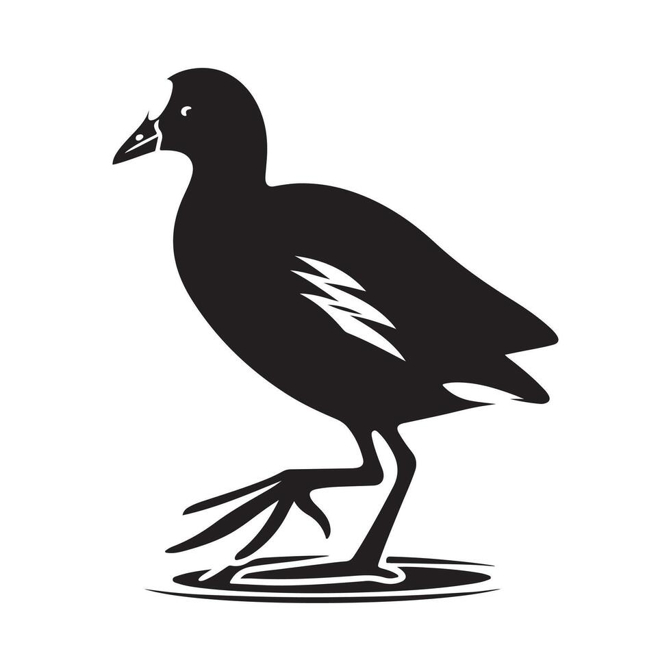 Common Moorhen Silhouette Vectors for Wildlife Logos