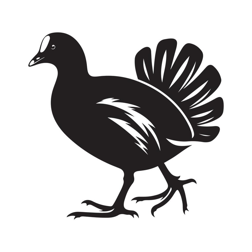 Nature Graphics Common Moorhen Silhouettes for Creative Use vector