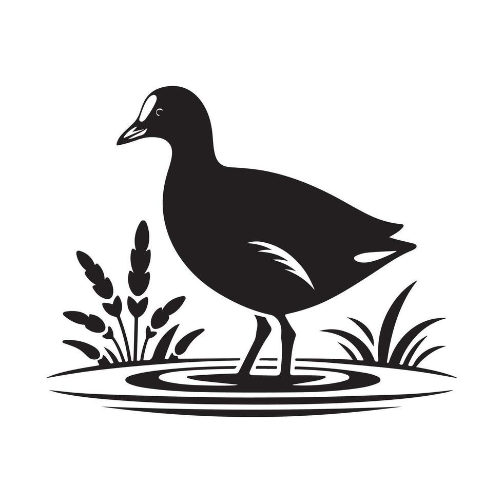 Common Moorhen Silhouette Art for Posters, Flyers, and More vector