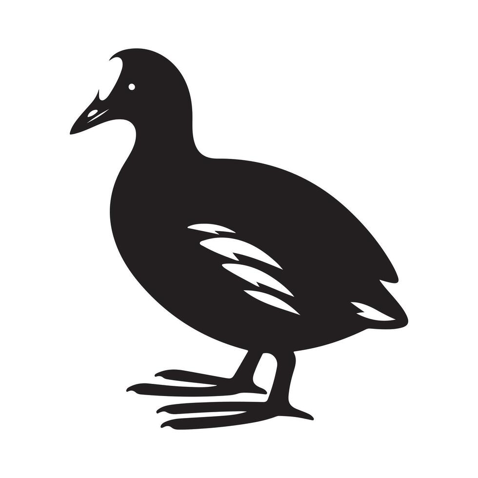 Elegant Moorhen Bird Silhouettes for Professional Use vector