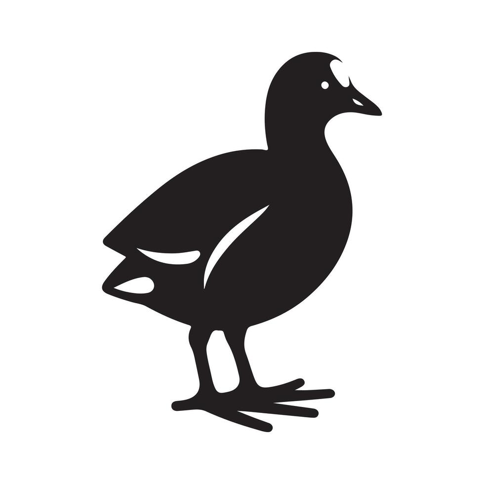 Customizable Common Moorhen Silhouettes for Artistic Designs vector