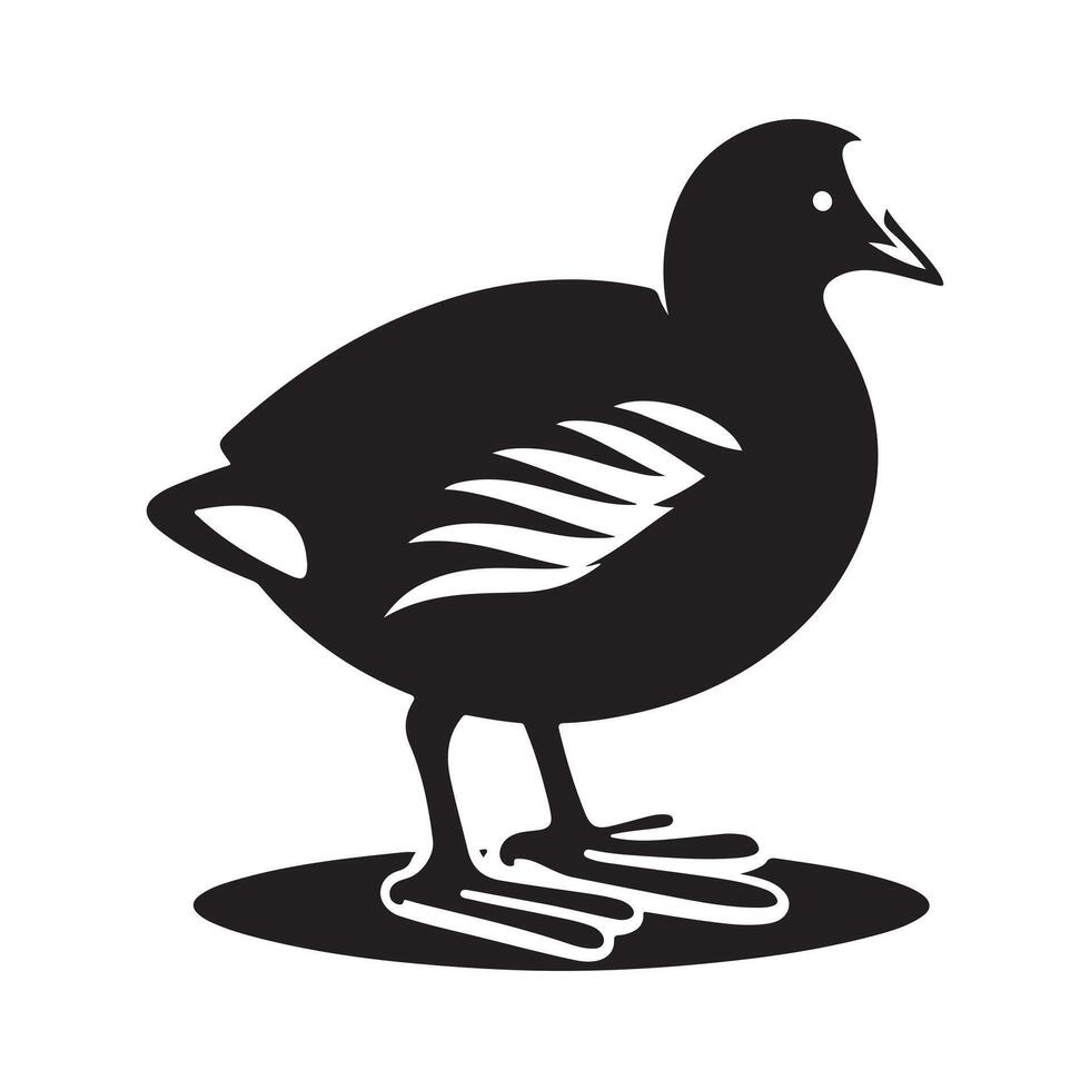 Silhouettes of Common Moorhens for Birdwatching Projects vector