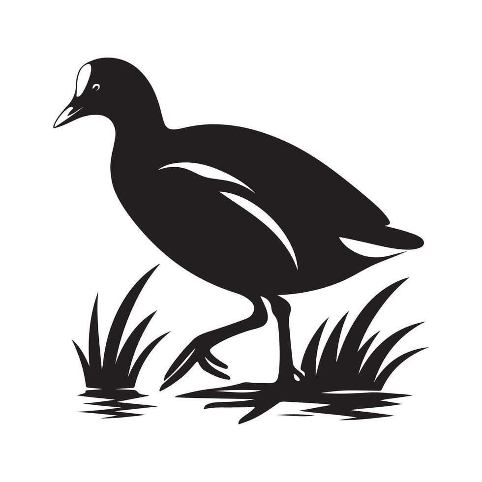Wildlife-Themed Common Moorhen Silhouettes for Various Designs vector