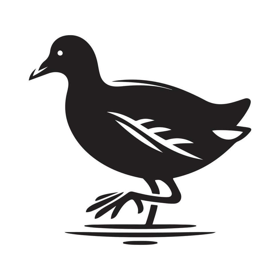 Common Moorhen Silhouette Vectors for Nature Illustrations
