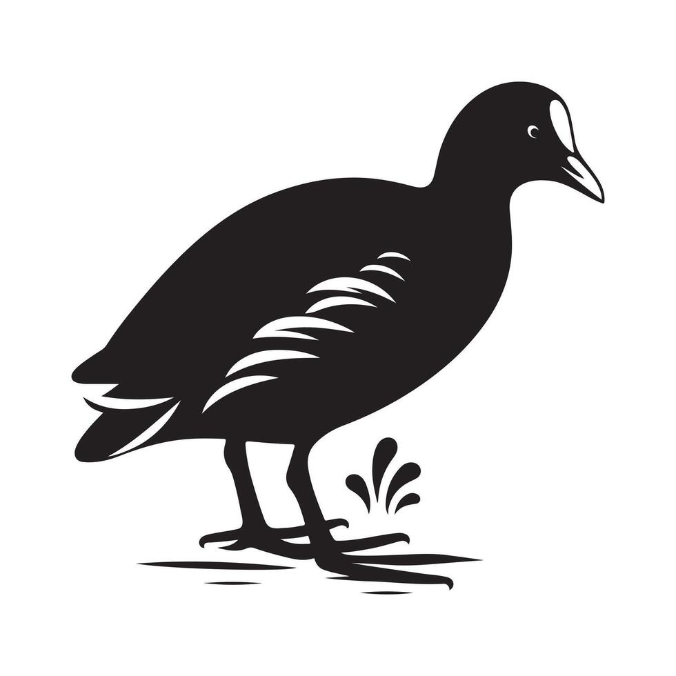 Common Moorhen Silhouettes for T-Shirts, Mugs, and Merchandise vector
