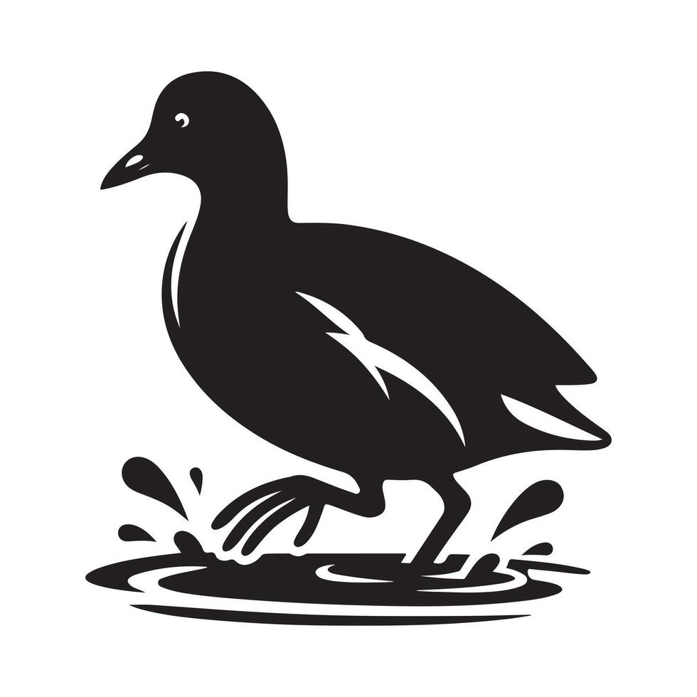 Illustrative Common Moorhen Silhouettes for Graphic Designers vector
