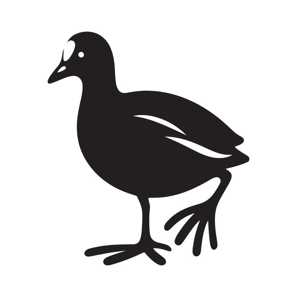 Elegant Bird Silhouette Vectors Featuring the Common Moorhen