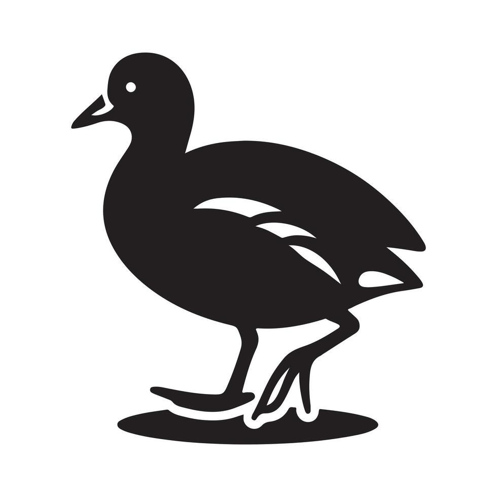 Common Moorhen Silhouettes for Posters, Cards, and Invitations vector