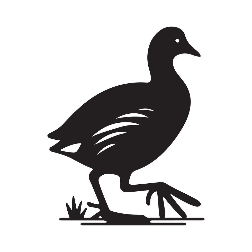 Simple and Stylish Common Moorhen Silhouette Vectors Files