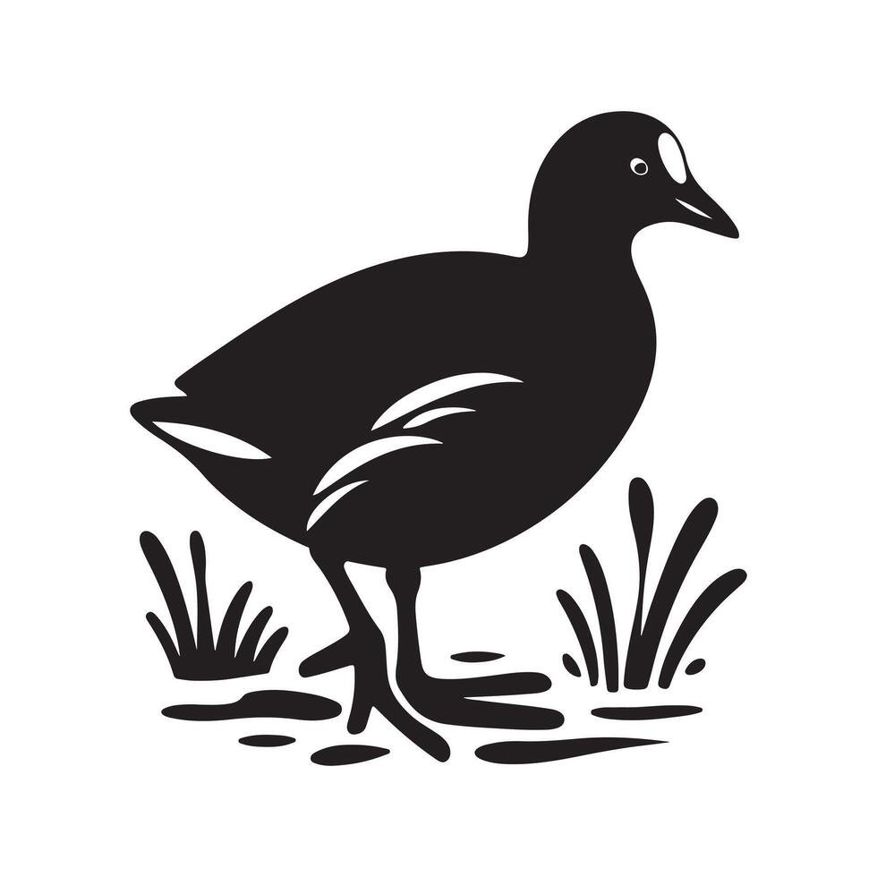 Nature Art Common Moorhen Silhouette Vectors Illustrations
