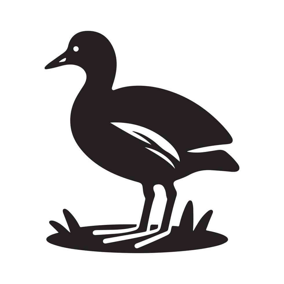Versatile Common Moorhen Silhouette Graphics for All Uses vector
