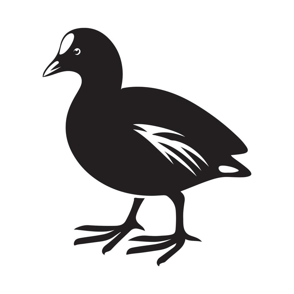 Artistic Common Moorhen Silhouette Vectors for Your Projects
