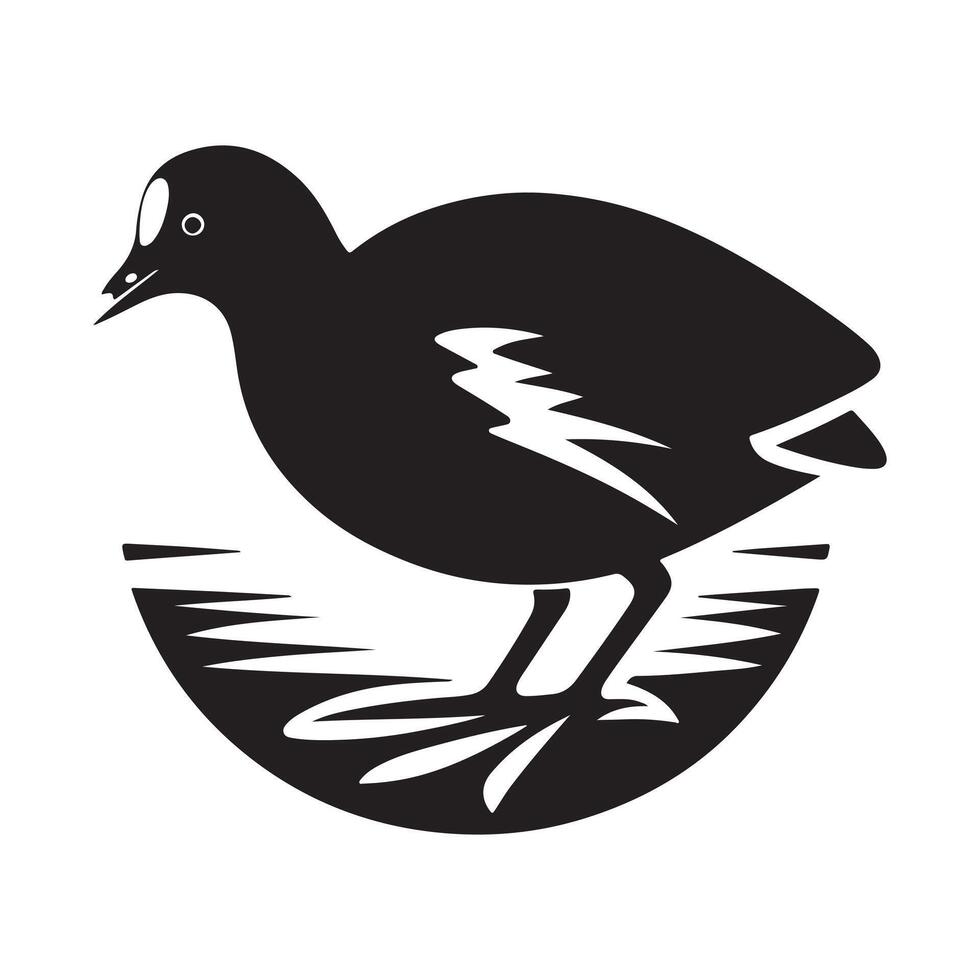 Creative Uses for Common Moorhen Silhouette Vectors Graphics