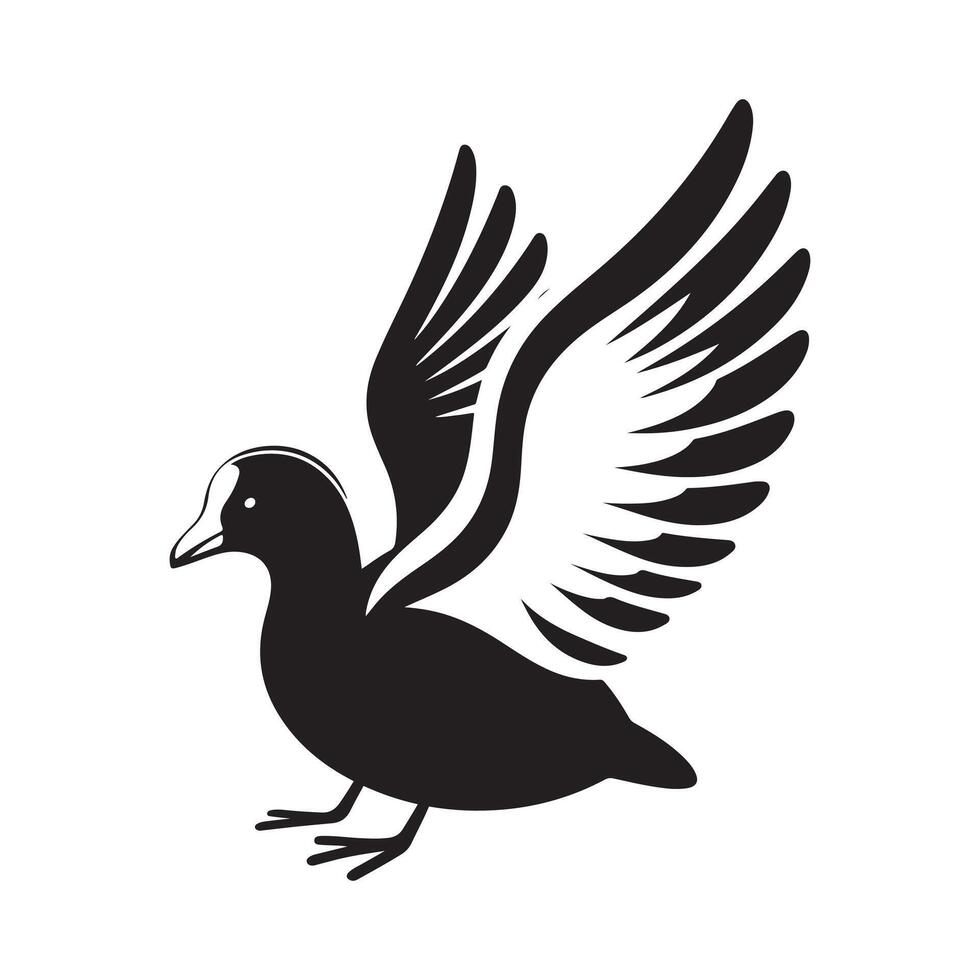 White-Winged Coot Silhouettes for Birdwatching and Wildlife Projects vector