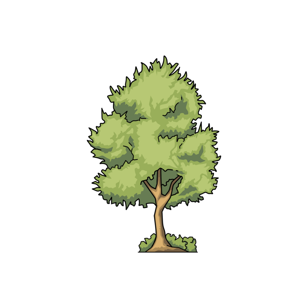 Tree hand draw png
