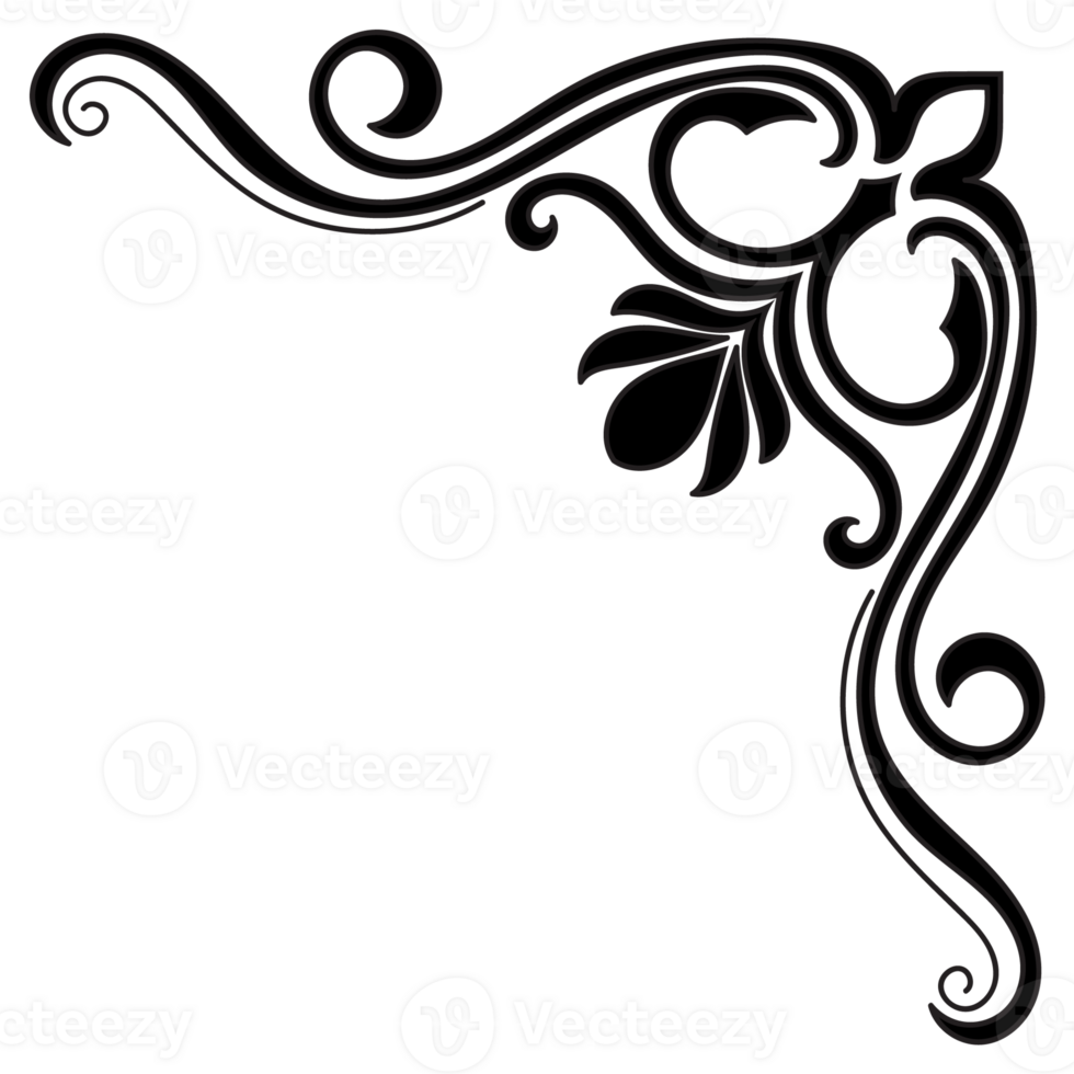 Vintage curves, vintage corners, decorative graphic elements, black lines png