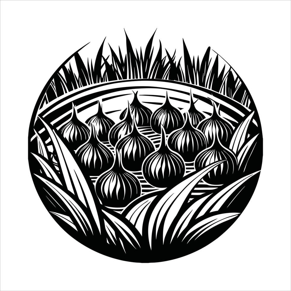 Drip Irrigation System For Onion vector