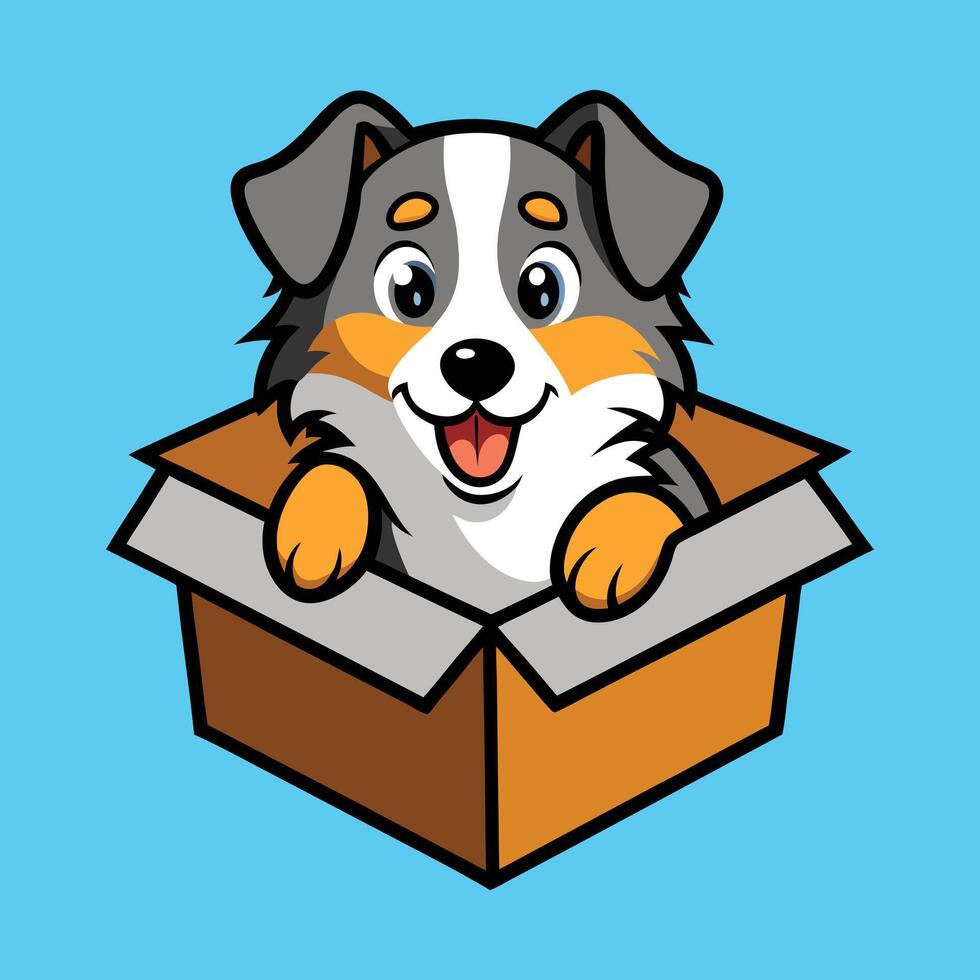 Cute Australian Shepherd Playing in Box Cartoon vector