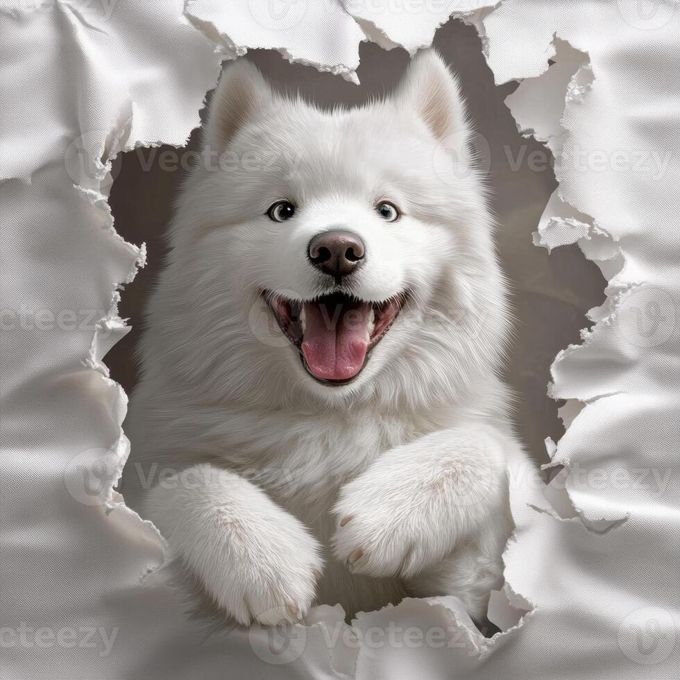 Adorable fluffy white dog playfully peeking through torn paper with joyful expression. photo