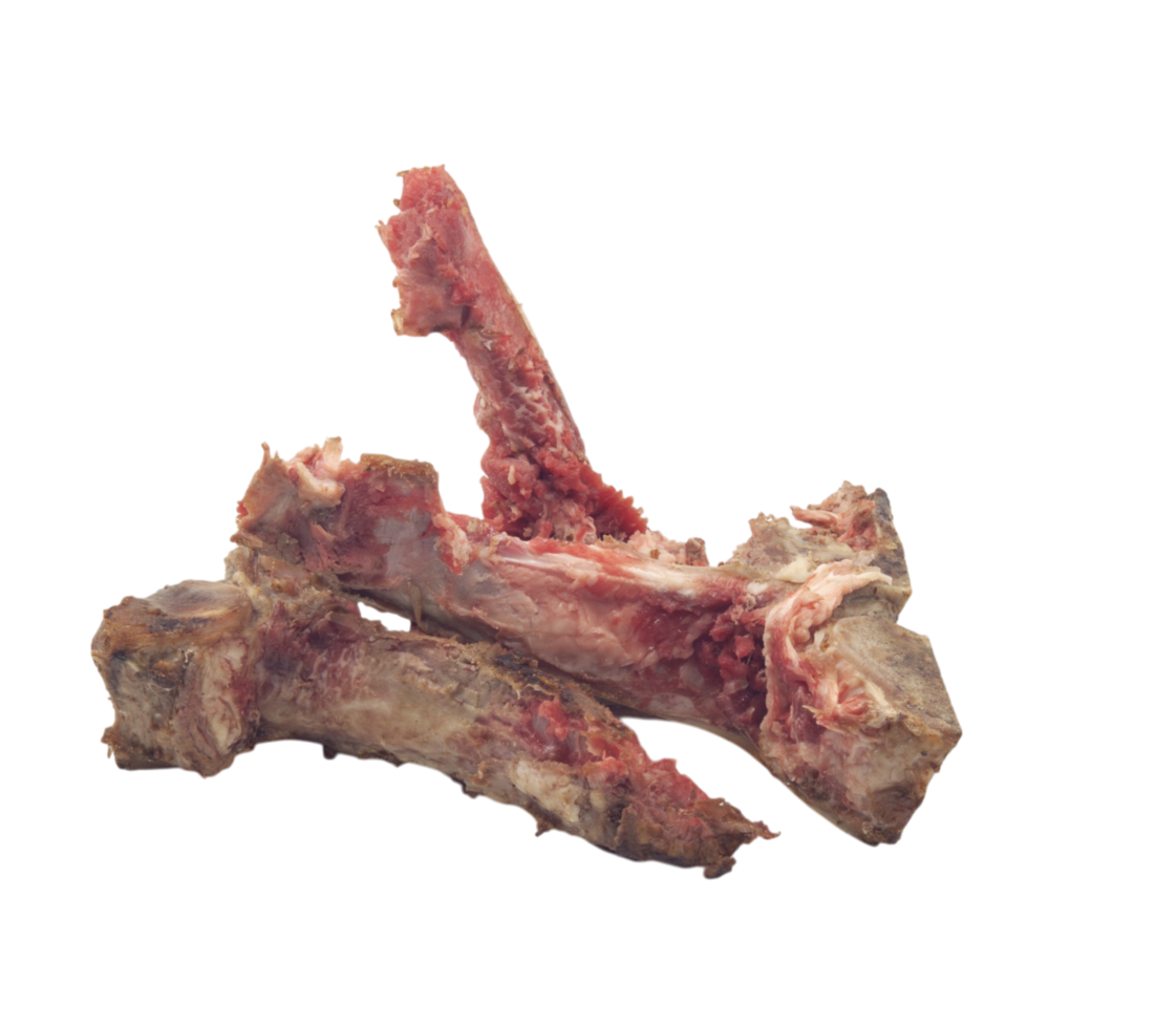 Raw meat bones with transparent background, perfect for compositing png