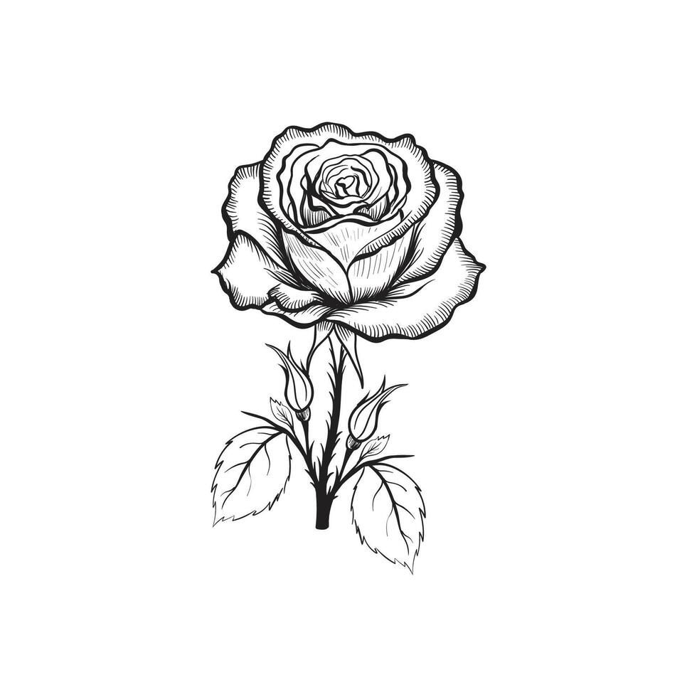 Black line art and silhouette of rose flower vector