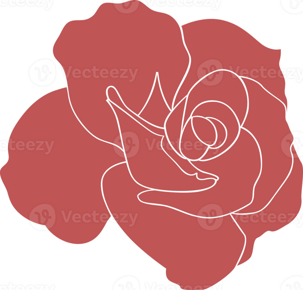 Red Flower Illustration png