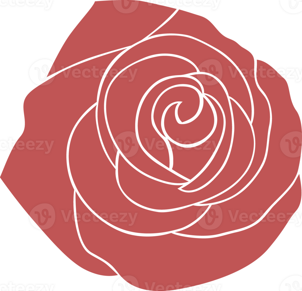 Red Rose flower png