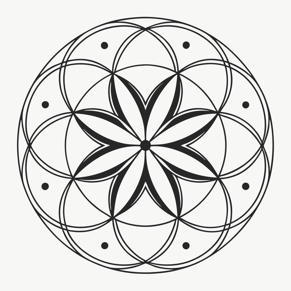 Elegant Circular Mandala Artwork vector