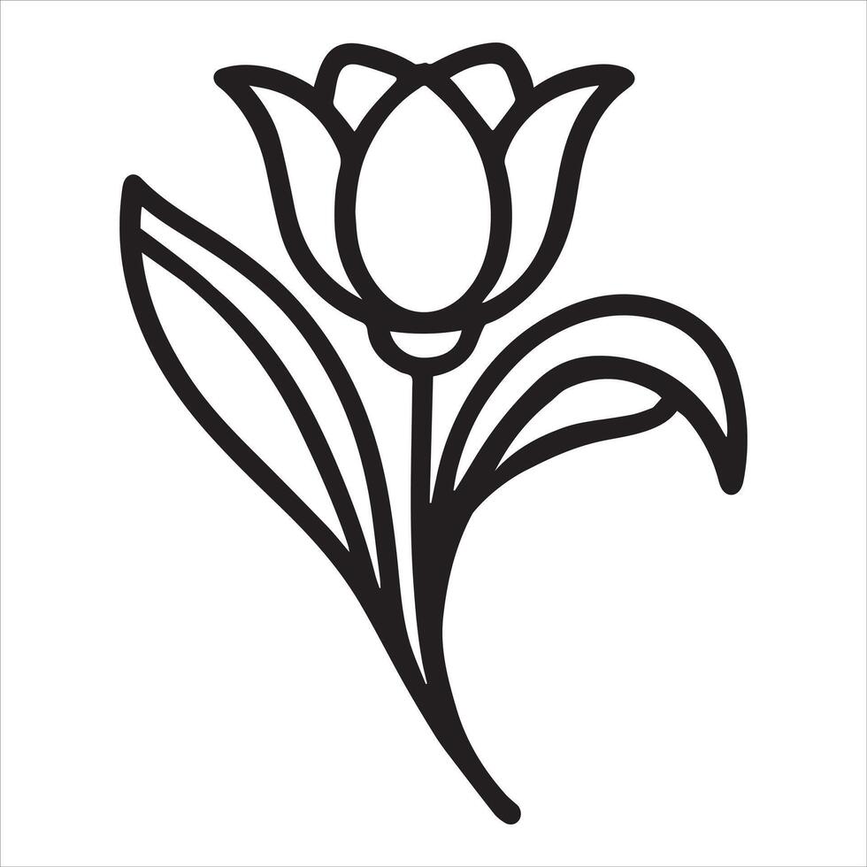 Beautifully Illustrated Tulip Flower Art vector