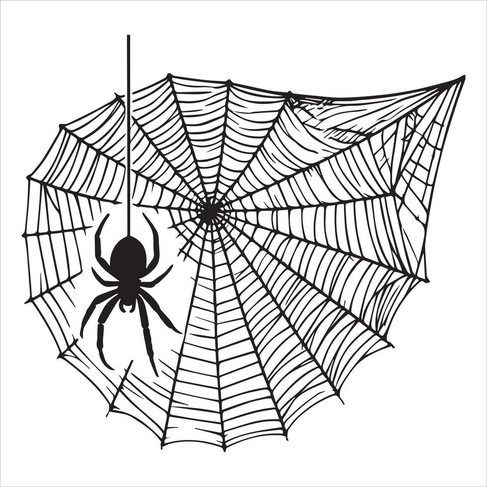 Delicate Spiderweb Silhouette for Sophisticated Designs vector