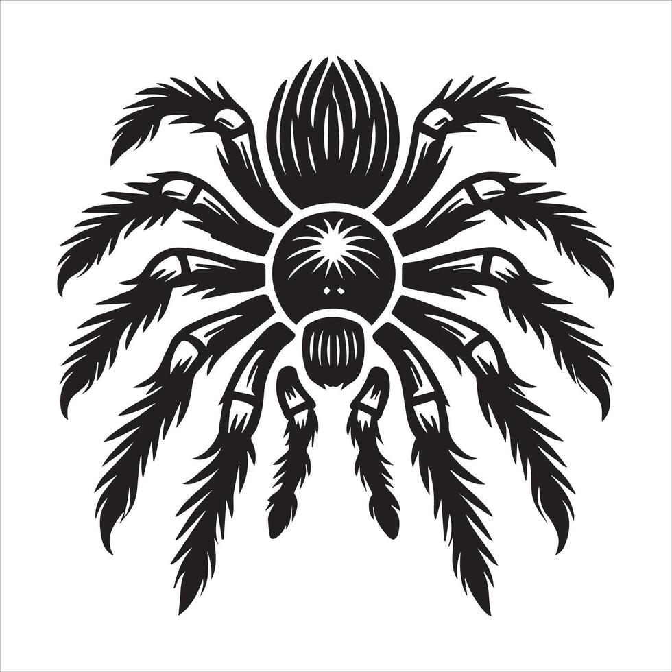 Creative Spider Silhouette Graphics vector
