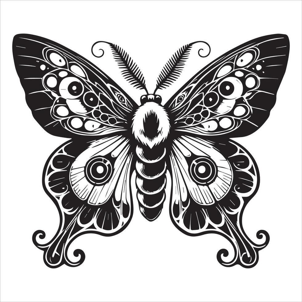 Exquisite Black and White Moth Artwork vector