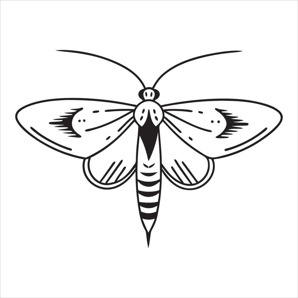 Graceful Moth Insect Drawing in Black and White vector