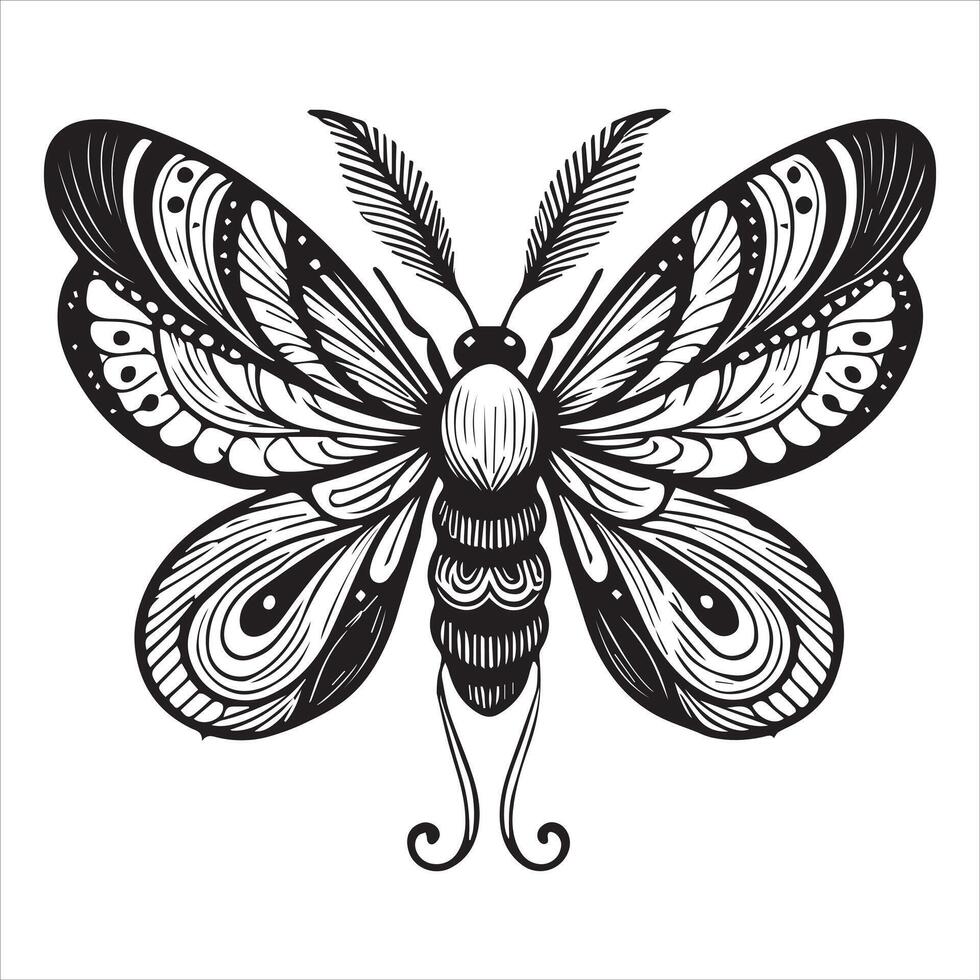 Intricate Moth Insect Art in Black and White vector