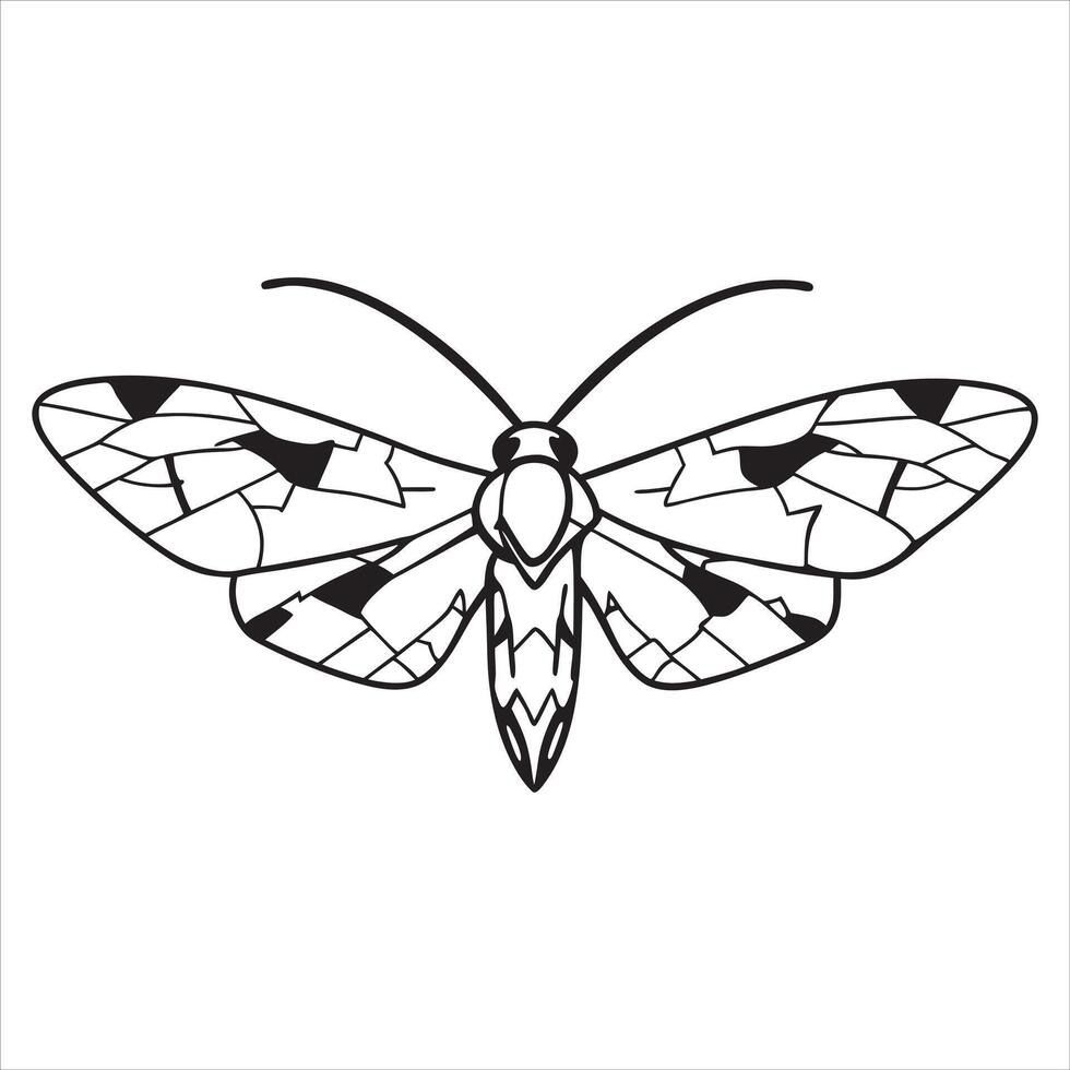 Mystical Black and White Moth Artwork vector