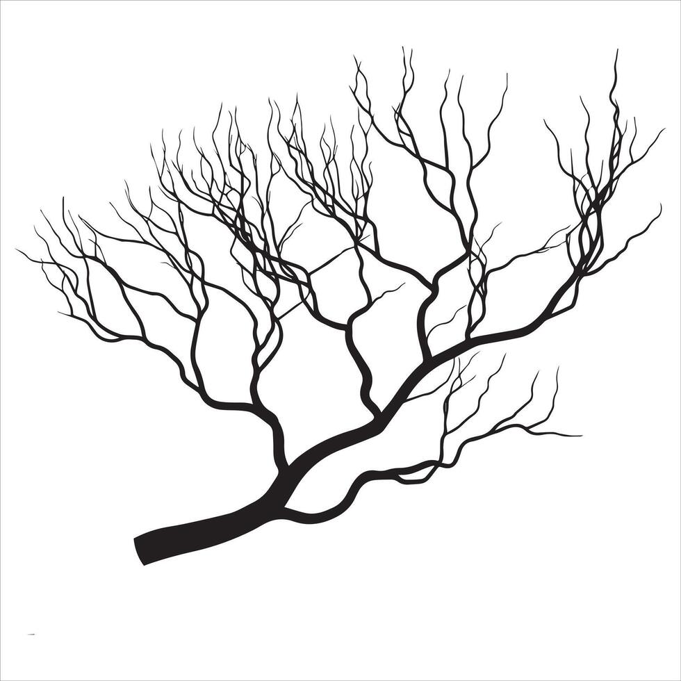 Enchanted Tree Branch Silhouette Against the Stars vector
