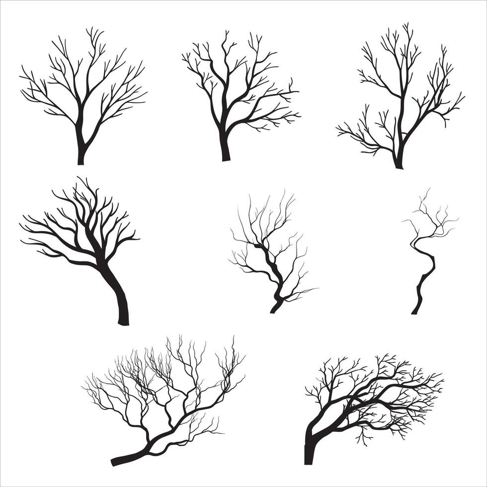 Complete Tree Branch Silhouette Design Collection vector