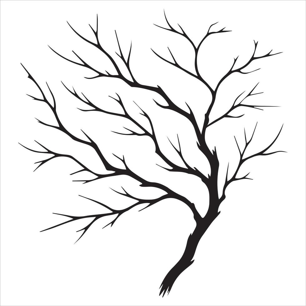 Silhouetted Tree Branches Against the Sky vector