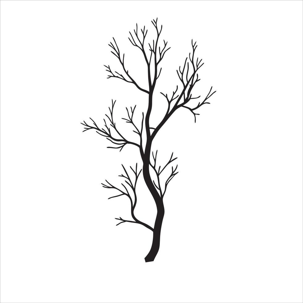 Soft Tree Branch Silhouette on Paper vector