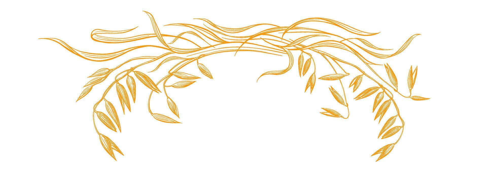 Oats plant, art grain. Art texture symbol Wheat vector