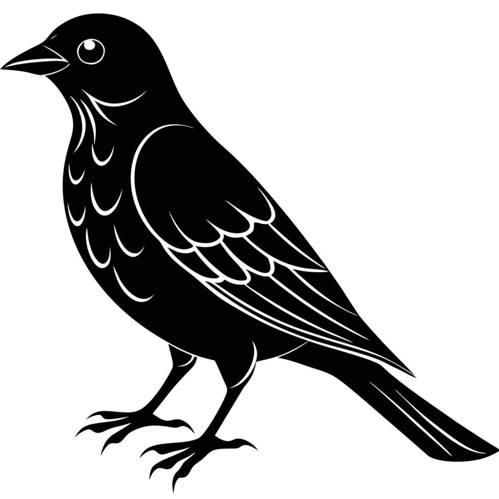 Bird Silhouette Illustration on White Background vector