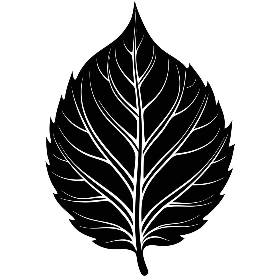 Single leaf silhouette on white background vector