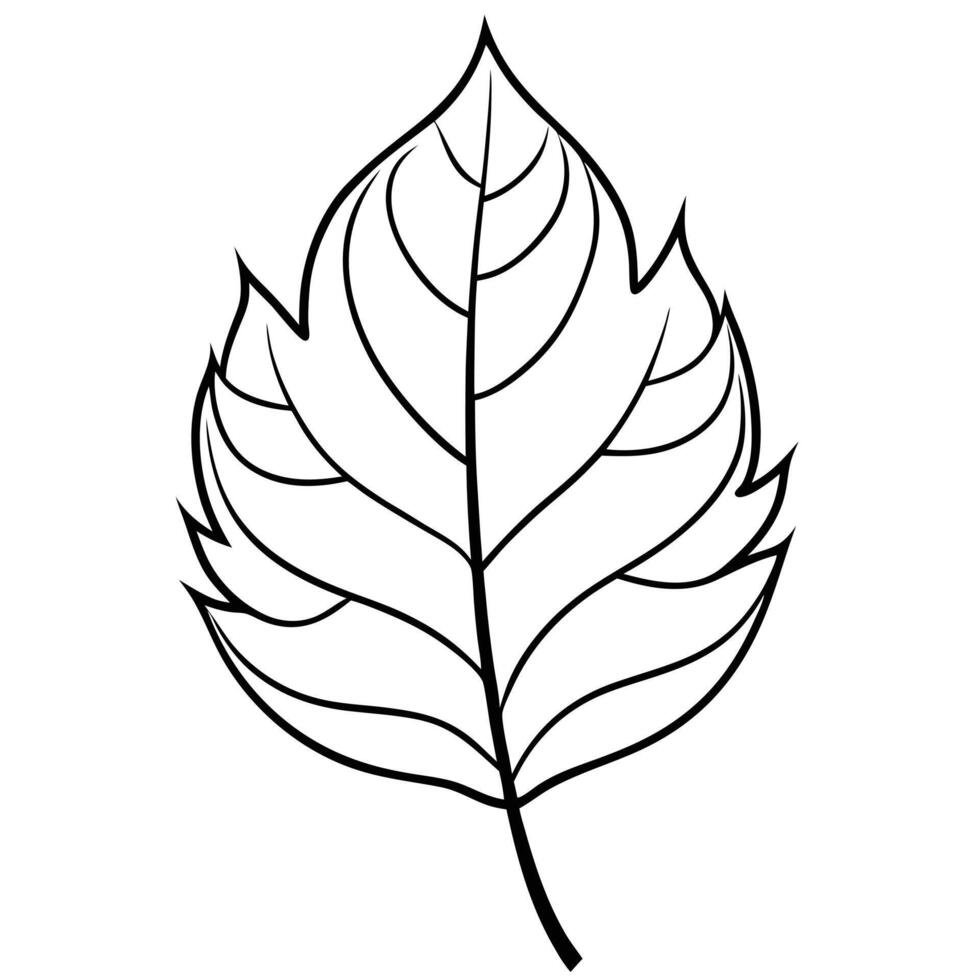 Line Art Leaf on Plain White Background vector
