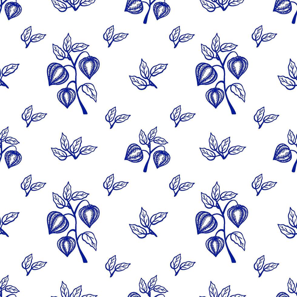 Seamless pattern with blue physalis and leaves on a white background monochrome vector