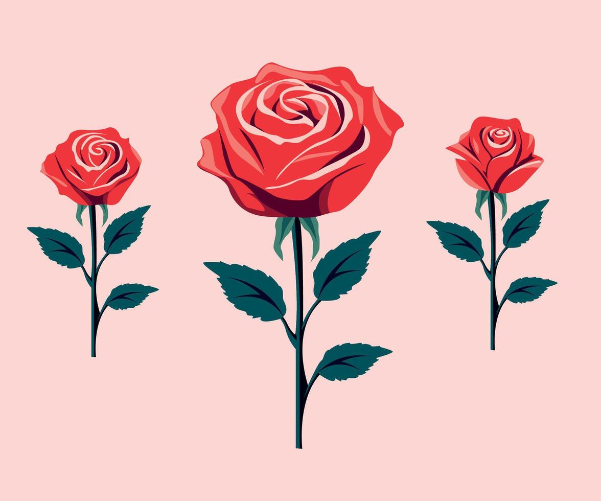 Red rose set Isolated on white background vector