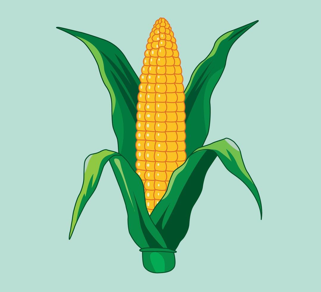 illustration of a corn cob vector