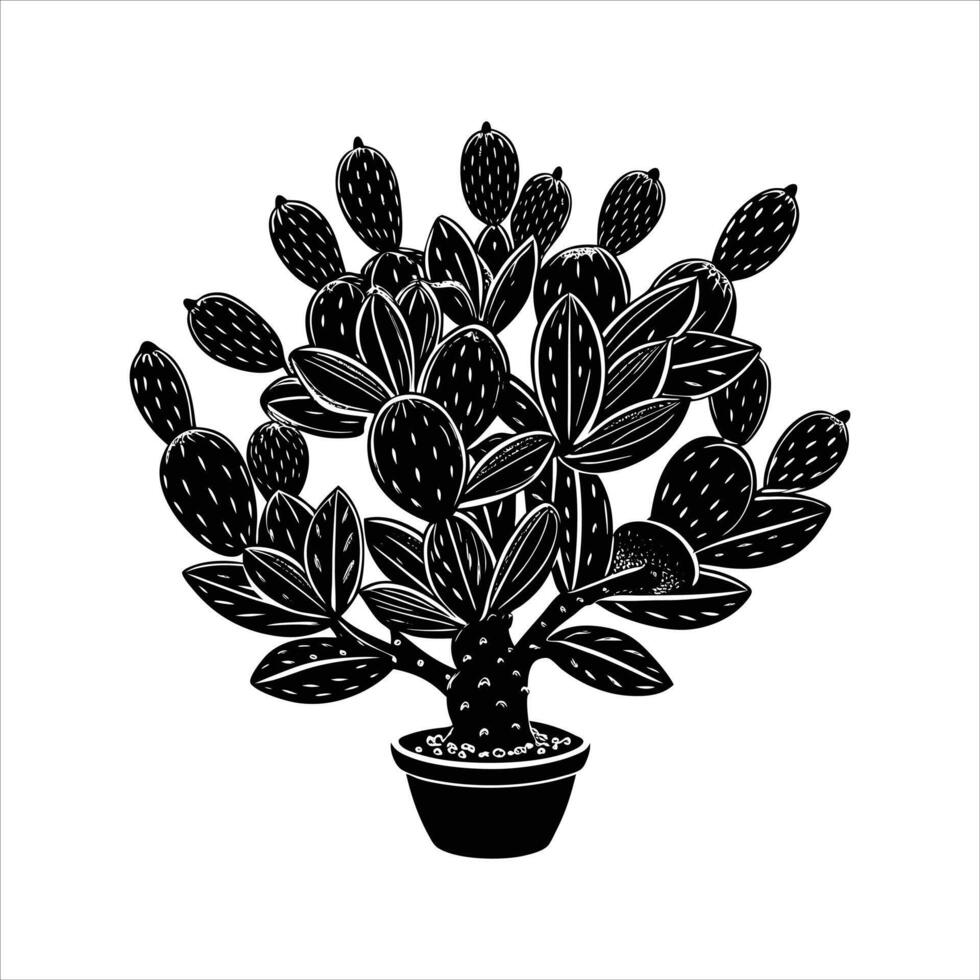 Cactus Images - Free D vector
