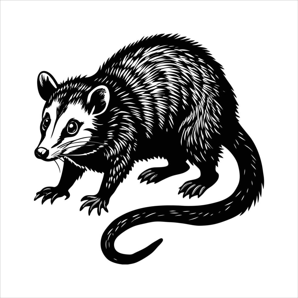 Opossum facts about one vector